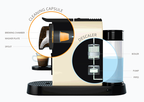 How to throughly clean your Nespresso machine with these easy steps
